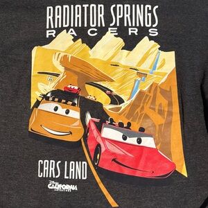 2012 Disney California Adventure Radiator Springs Racers Hoodie Size L